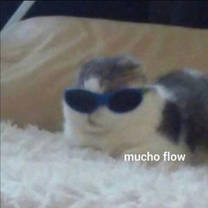 Meet your Posher, Jasmine